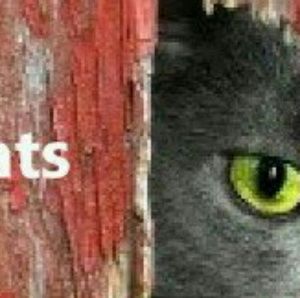 Meet your Posher, Holly